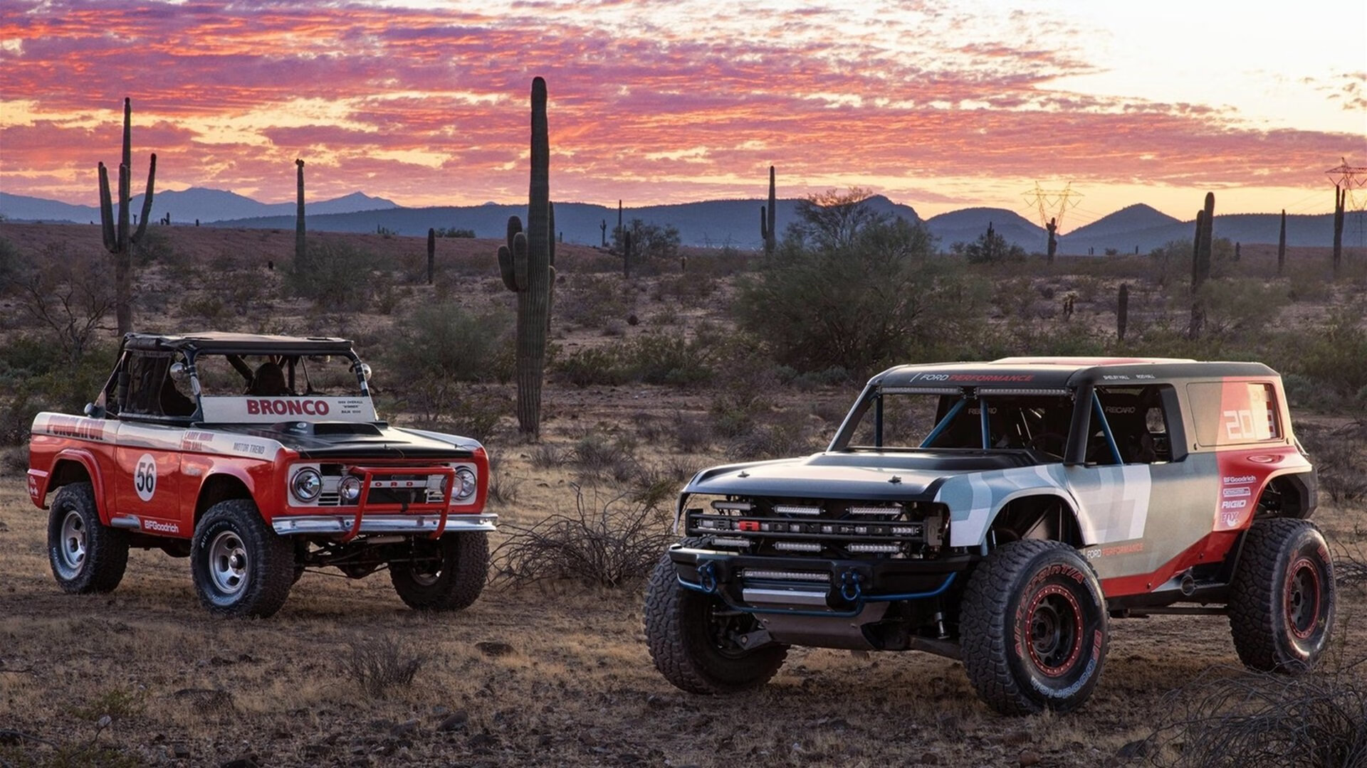 勇士战术压制辽宁队，贝恩关键先生定乾坤