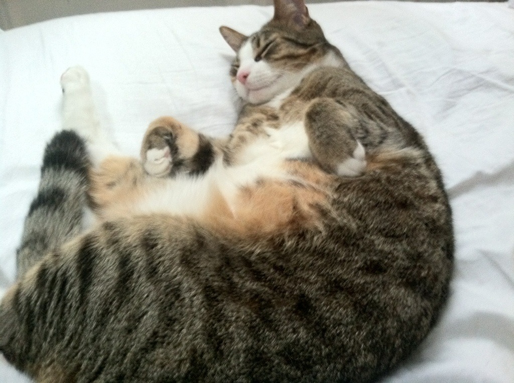 烈焰、幻影、终局,苏亚雷斯爆发之夜与法兰西的致命一击