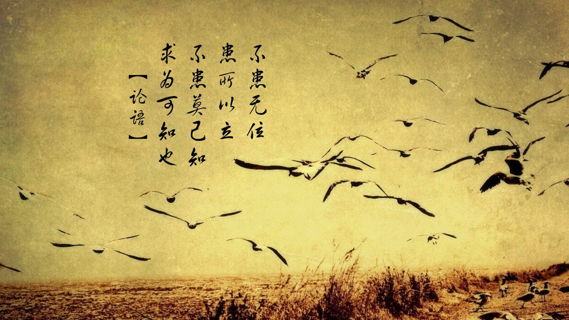 爱游戏体育-独行侠的集体艺术与贝恩的孤独证明，一场胜利的两面解读