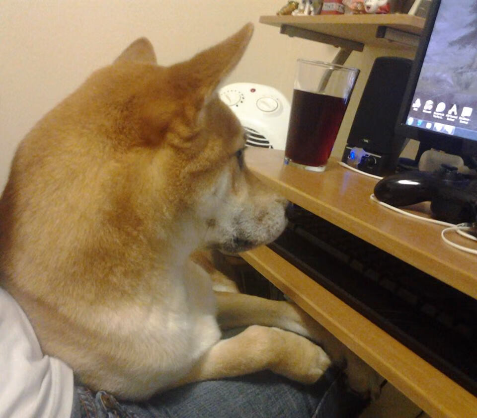 眉燃！迈阿密怒焰焚熊，浓眉39+20铸就钢铁禁区