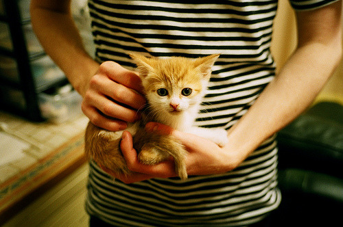 恩比德登基之战，当无解个人与完美团队在篮网画布上挥就史诗