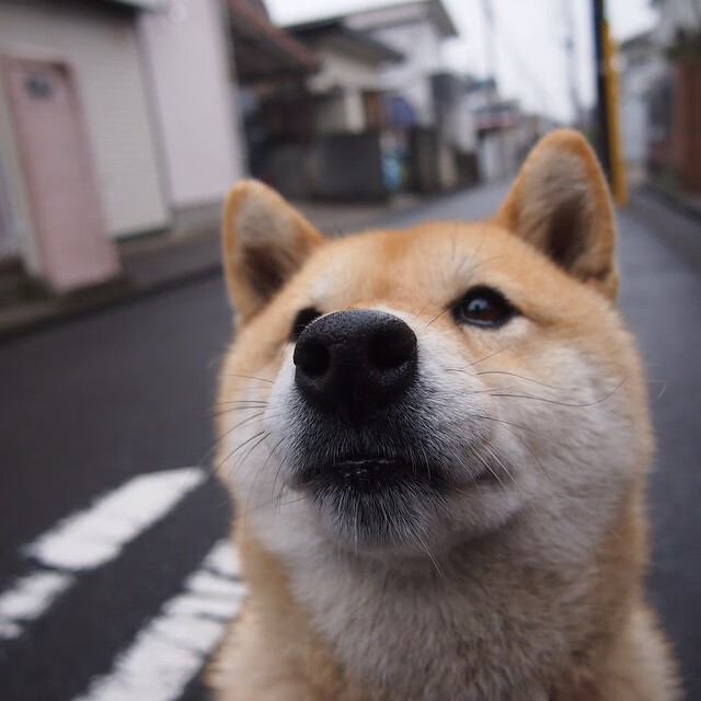 同一个夜晚的两极叙事，冰火对决下的篮球万象