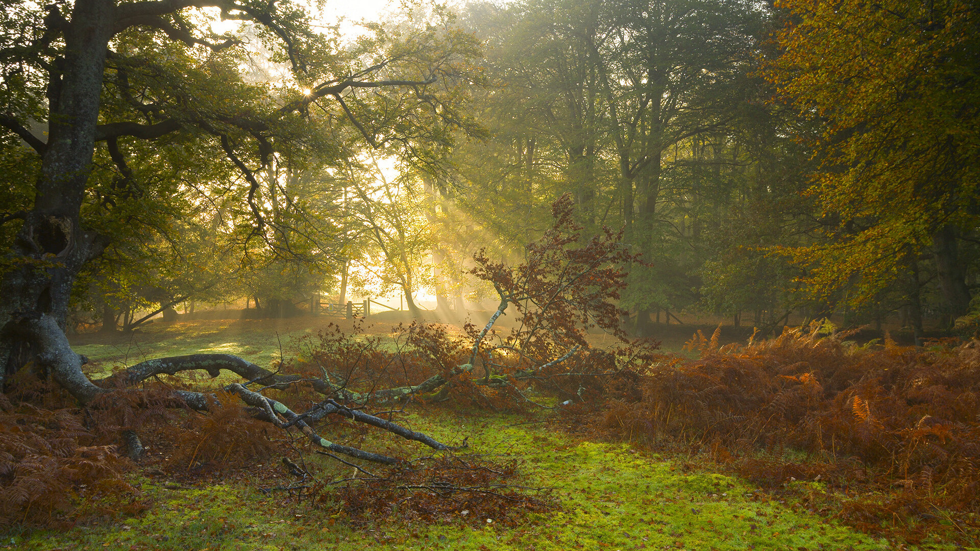 双星闪耀夜,C罗里程碑拉什福德绝杀,定义大场面先生真谛