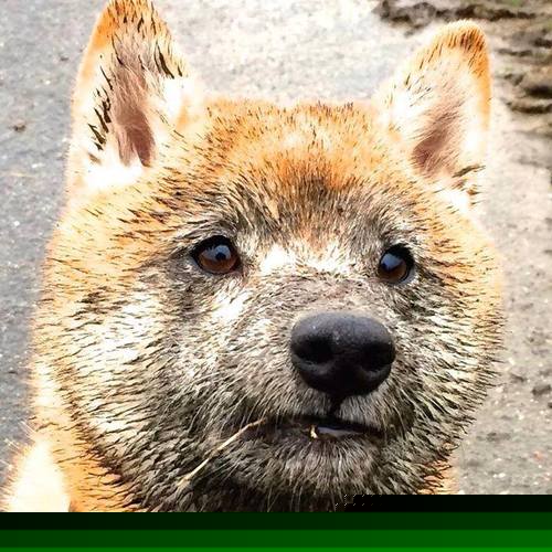 爱游戏官方-高悬于东决夜空的盾与矛，巴斯托尼统治级表现铸就传奇之夜