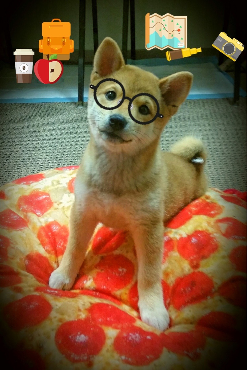 爱游戏APP-金州锁链封死浙江狂潮 哈登冠军级掌控定江山