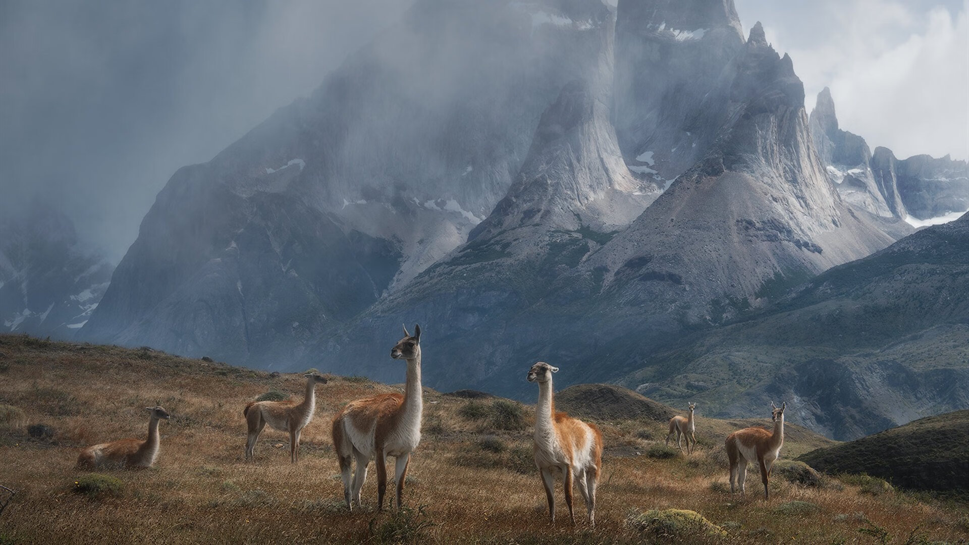 爱游戏在线-惊雷之夜！天才少年马克西连续得分撕裂僵局，德甲争冠战现决定性转折