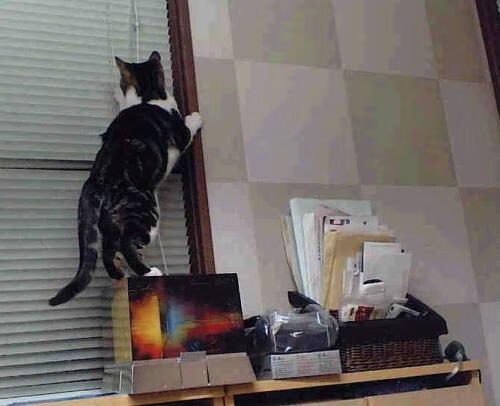 冰与火的对决，当姆巴佩接管东决，喀麦隆绝境带走胜利