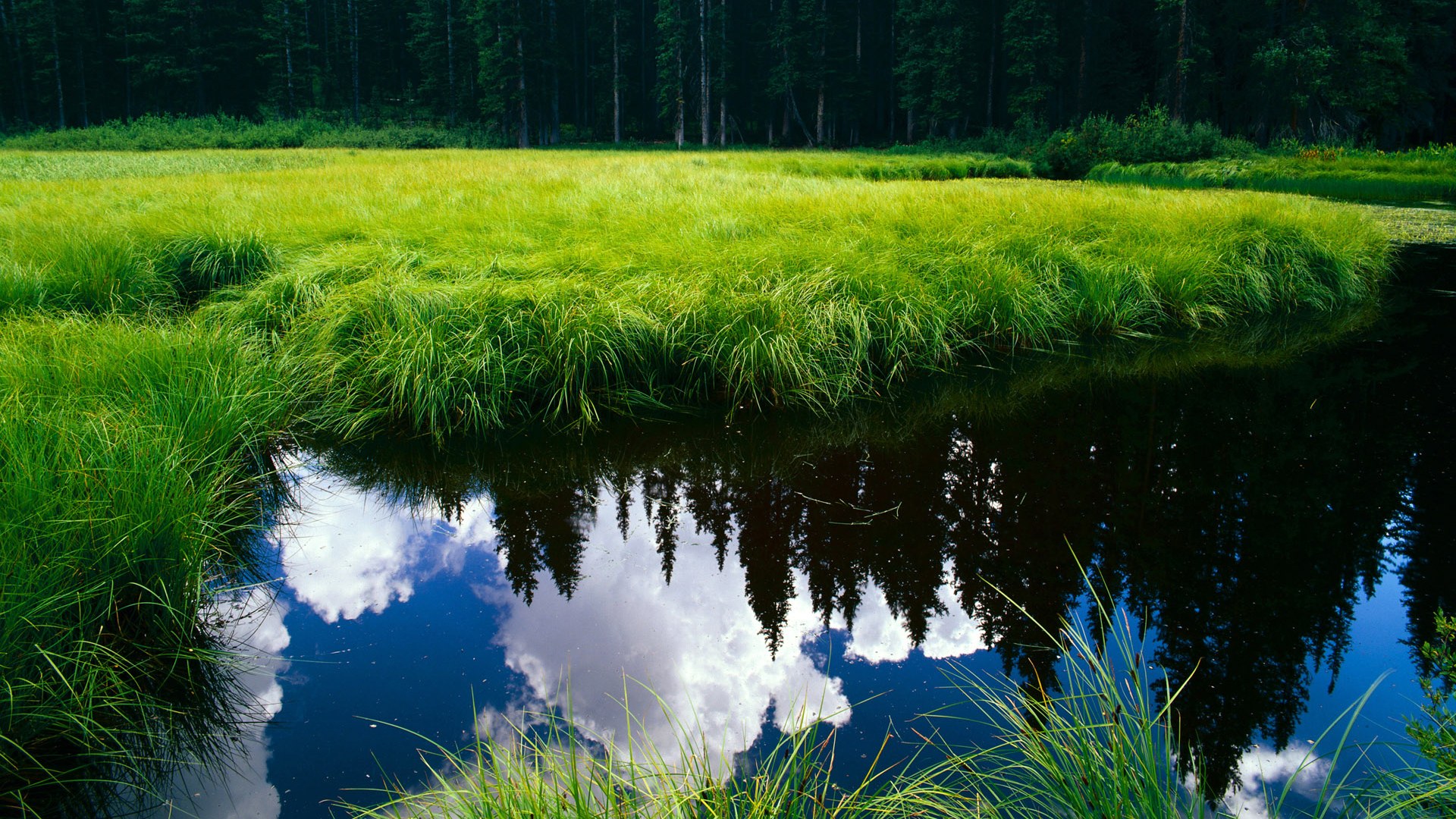 欧冠淘汰赛焦点战!公牛式防守如何锁死新疆队?