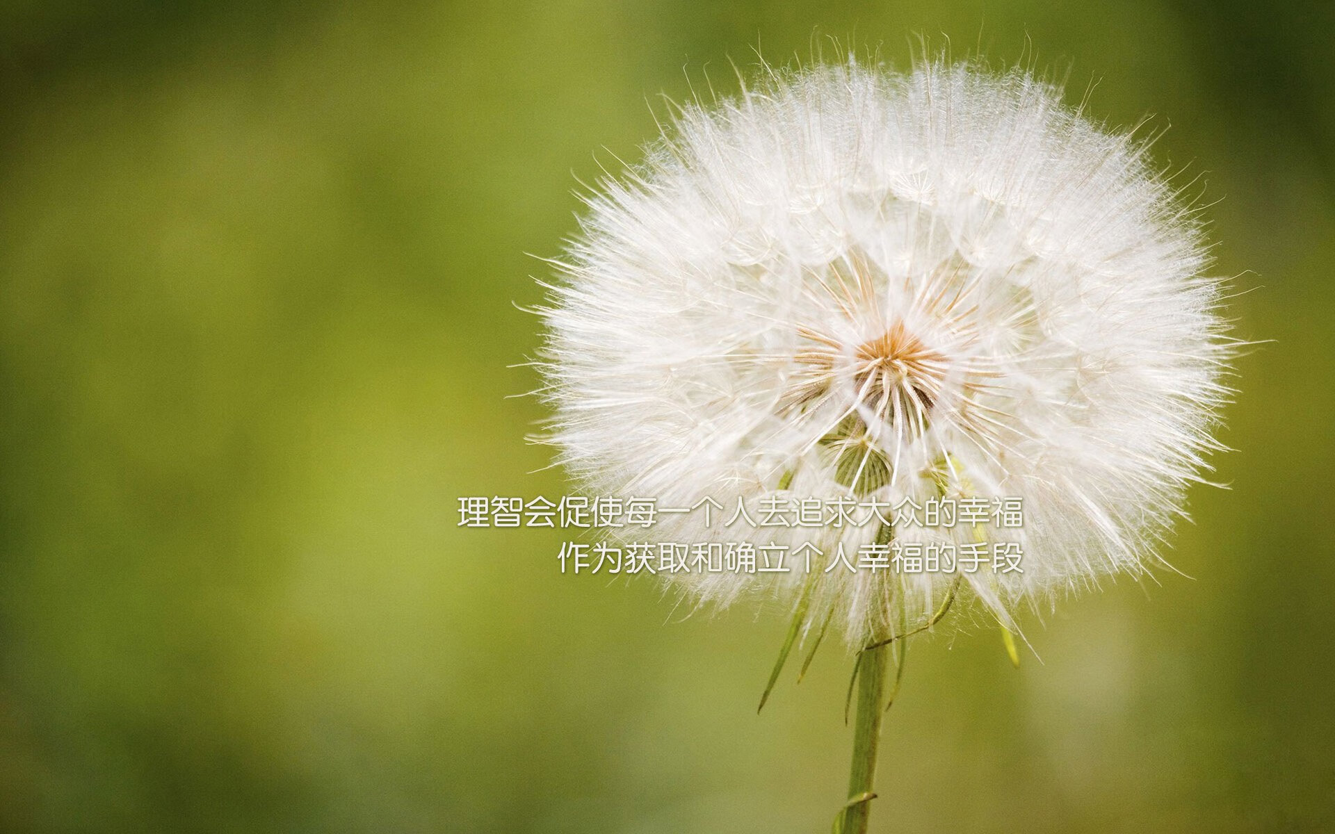 冰与火的对决，国王末节淬火成锋，辽宁主场熄灭火种