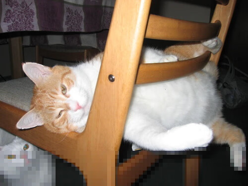 一场被踢碎的机械论，当托尼的魔术穿越里昂的铁壁