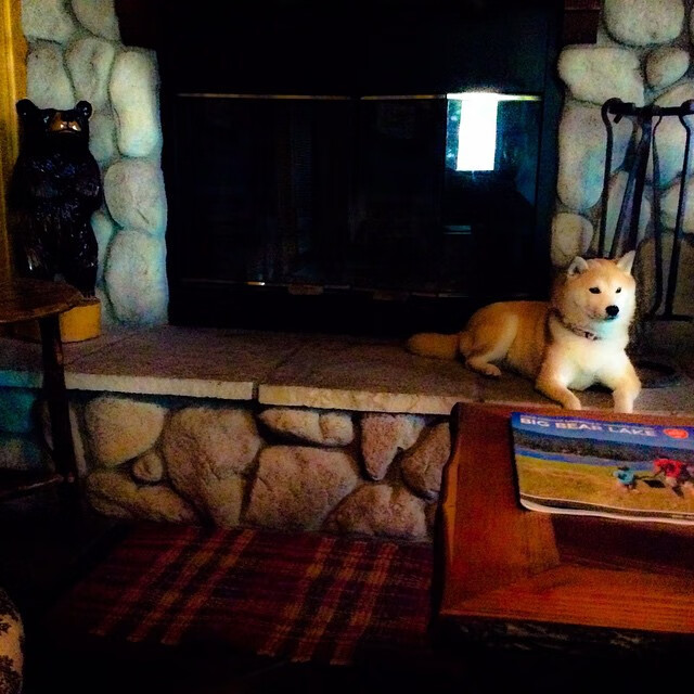 爱游戏APP-东方初升的引擎与极夜，太阳队何以用空间炼狱战术锁死山西，哈登又如何在方寸间舞出乾坤