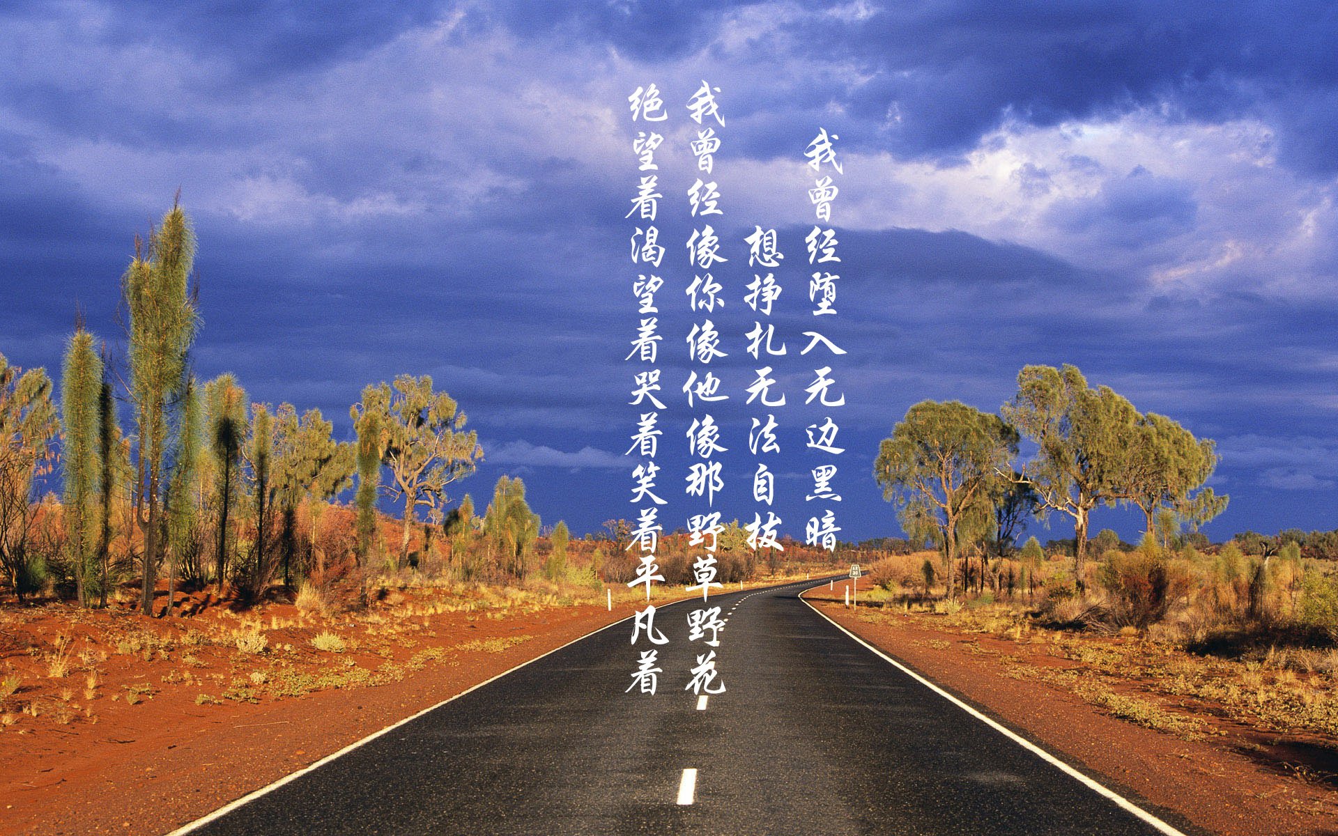 橙衣军团的裂纹，当莱万在D组围城中改写葡萄牙与荷兰的命运