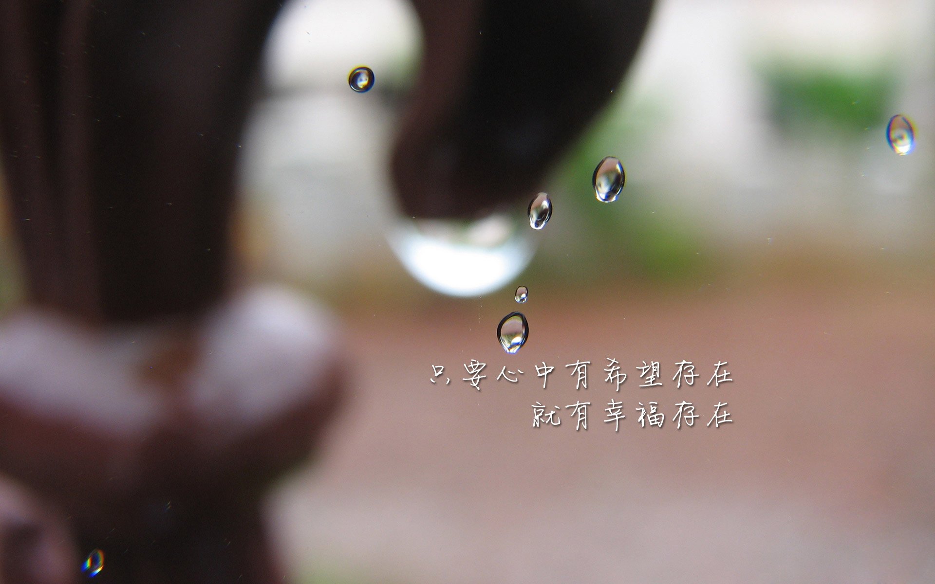 沙漠之狮的孤勇,努涅斯与门神共铸2026世界杯生死战唯一剧本