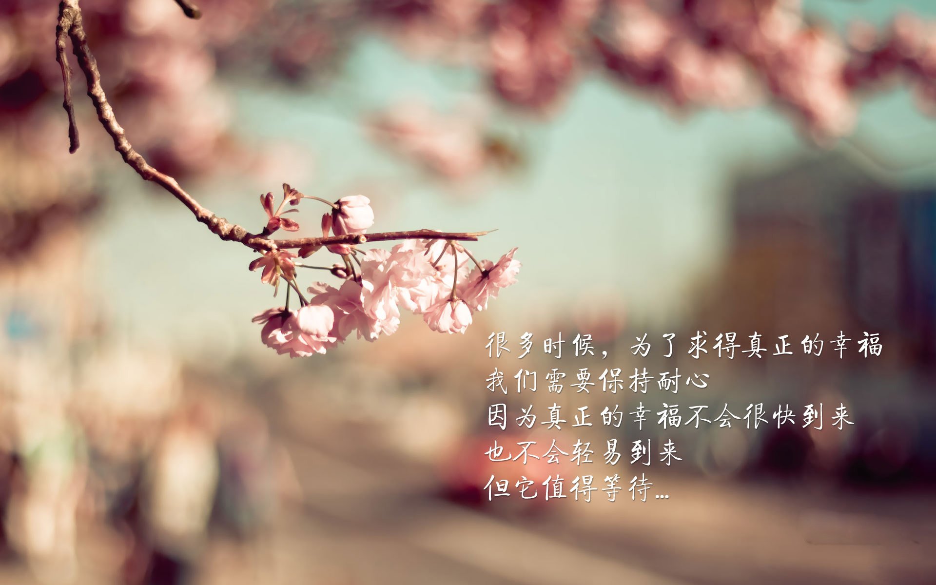 爱游戏-沙漠之鹰击碎桑巴，2026世界杯H组，伊朗闪电反击掀翻巴西，莱万独木难支成悲情英雄