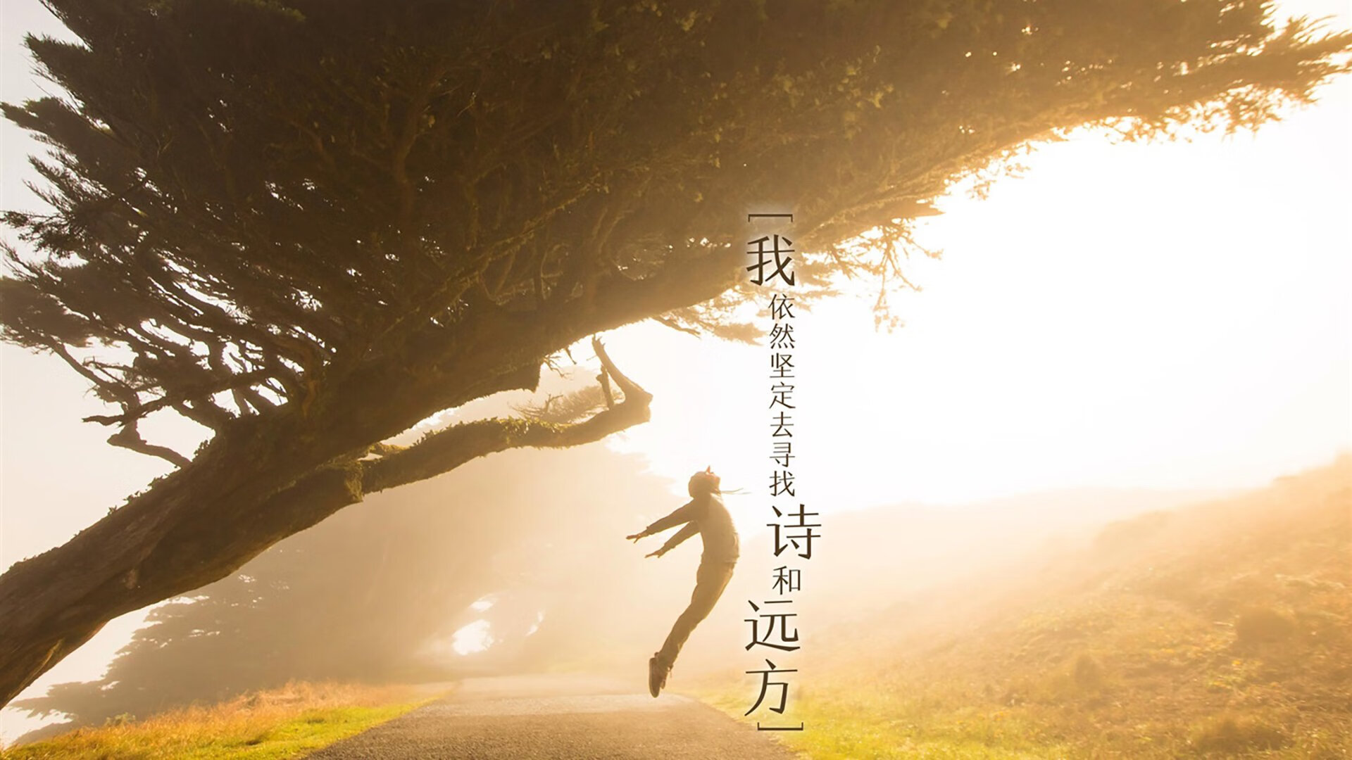 爱游戏-宿命的回响，2026，瑞士与伊朗的蓝桥遗梦，维尼修斯的加冕礼